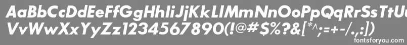 フォントSansserifbldflfItalic – 灰色の背景に白い文字