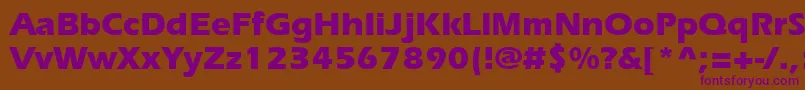 Erieb Font – Purple Fonts on Brown Background