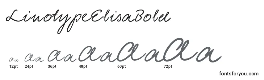 Размеры шрифта LinotypeElisaBold