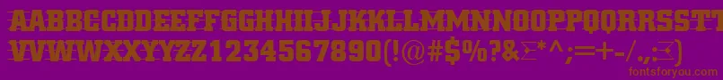 ACitynovattd3strcmb Font – Brown Fonts on Purple Background