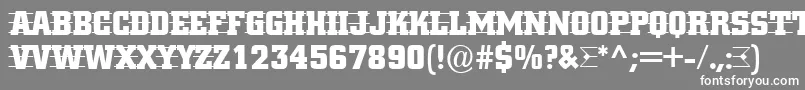 ACitynovattd3strcmb Font – White Fonts on Gray Background