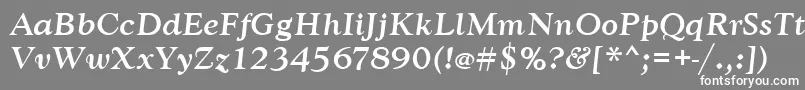 フォントGoudytmedItalic – 灰色の背景に白い文字