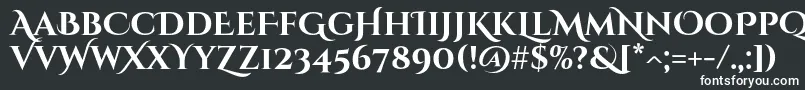 フォントCinzeldecorativeBold – 白い文字