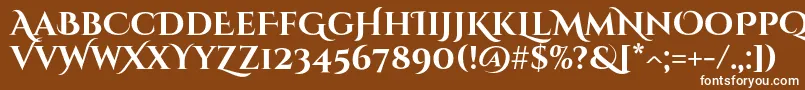 フォントCinzeldecorativeBold – 茶色の背景に白い文字