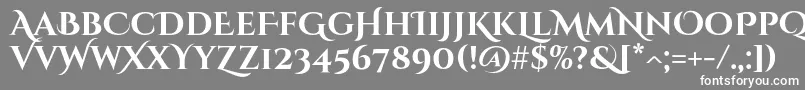 フォントCinzeldecorativeBold – 灰色の背景に白い文字