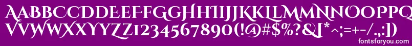 CinzeldecorativeBold Font – White Fonts on Purple Background