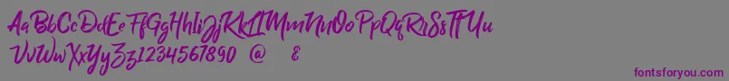 フォントBillyOhio – 紫色のフォント、灰色の背景