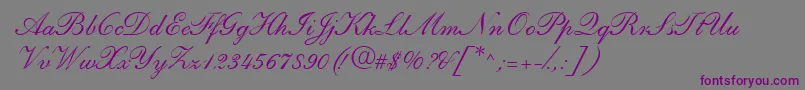 ShirleyandanteRegularDb Font – Purple Fonts on Gray Background