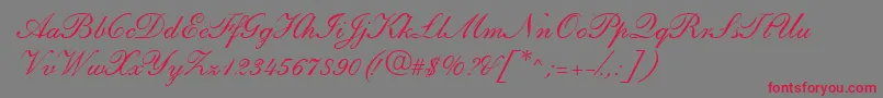 ShirleyandanteRegularDb Font – Red Fonts on Gray Background