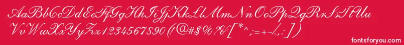 ShirleyandanteRegularDb Font – White Fonts on Red Background