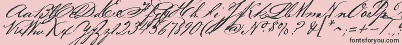 Bakerscript Font – Black Fonts on Pink Background