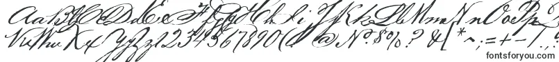 Шрифт Bakerscript – шрифты Кухня