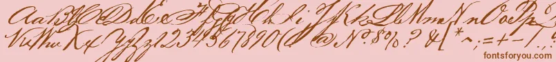 Bakerscript Font – Brown Fonts on Pink Background