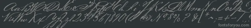 Bakerscript-Schriftart – Graue Schriften auf schwarzem Hintergrund