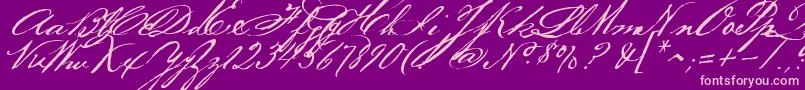 Bakerscript-Schriftart – Rosa Schriften auf violettem Hintergrund