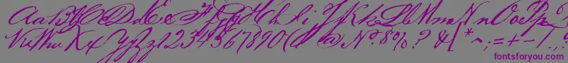 Bakerscript Font – Purple Fonts on Gray Background