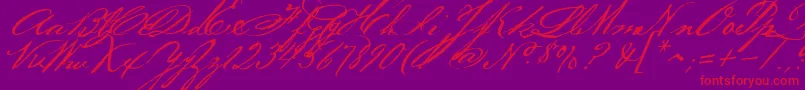 Bakerscript Font – Red Fonts on Purple Background