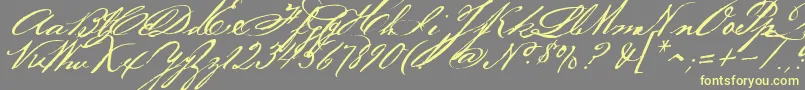 Bakerscript-Schriftart – Gelbe Schriften auf grauem Hintergrund