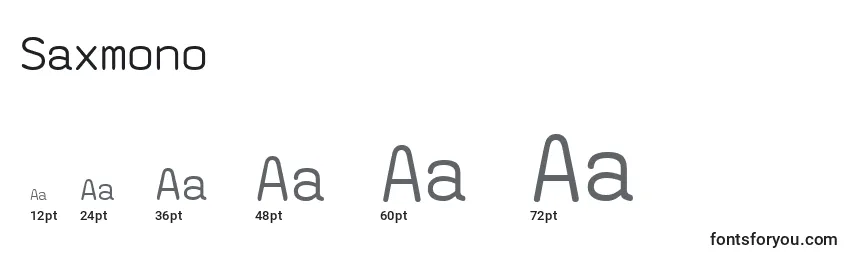 Saxmono Font Sizes