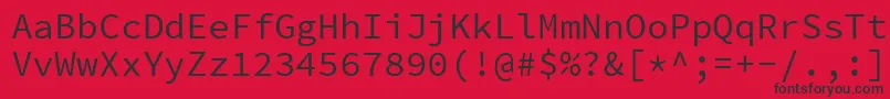 フォントSourcecodeproRegular – 赤い背景に黒い文字
