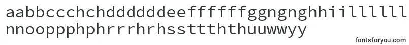 SourcecodeproRegular Font – Welsh Fonts