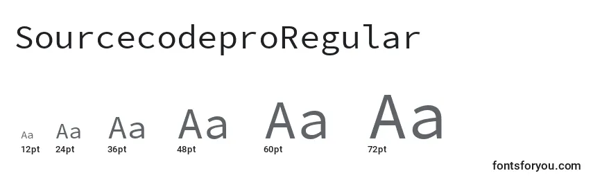 Размеры шрифта SourcecodeproRegular
