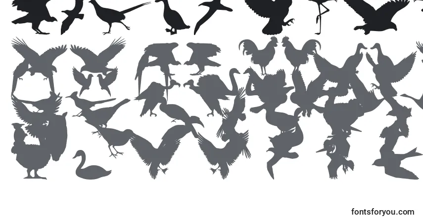 Schriftart BirdsOfAFeather – Alphabet, Zahlen, spezielle Symbole