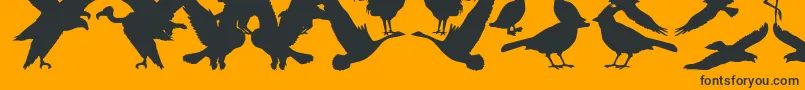 BirdsOfAFeather Font – Black Fonts on Orange Background