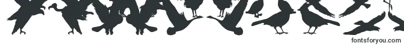 Czcionka BirdsOfAFeather – atrakcyjne czcionki