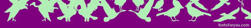 BirdsOfAFeather Font – Green Fonts on Purple Background