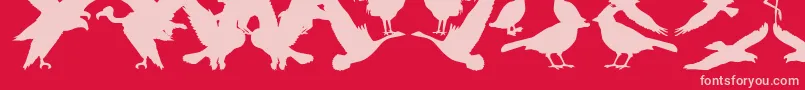 BirdsOfAFeather-Schriftart – Rosa Schriften auf rotem Hintergrund