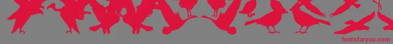 BirdsOfAFeather Font – Red Fonts on Gray Background