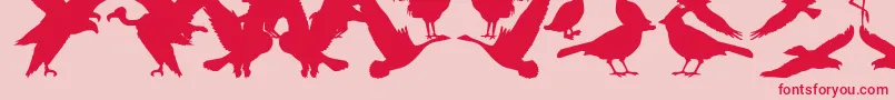 Police BirdsOfAFeather – polices rouges sur fond rose