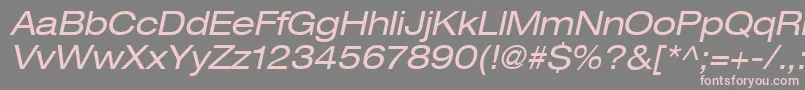 Heaveneticaextd5Oblsh Font – Pink Fonts on Gray Background