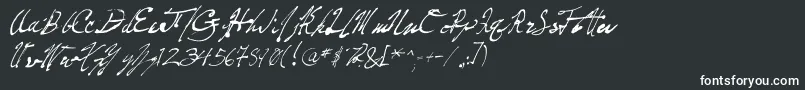 PenFrenzy Font – White Fonts
