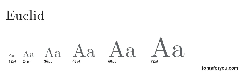 Размеры шрифта Euclid