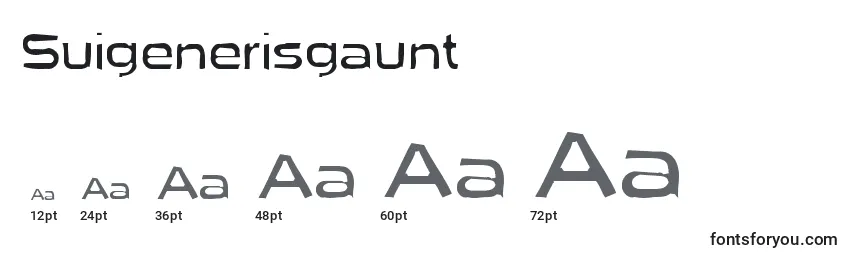 Размеры шрифта Suigenerisgaunt
