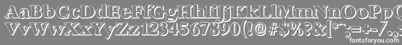 BernsteinshadowXboldRegular Font – White Fonts on Gray Background