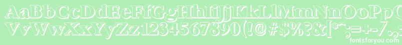 BernsteinshadowXboldRegular Font – White Fonts on Green Background