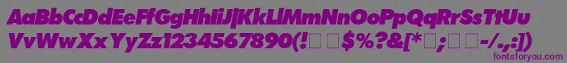 フォントFuturaExtrabolditalic – 紫色のフォント、灰色の背景