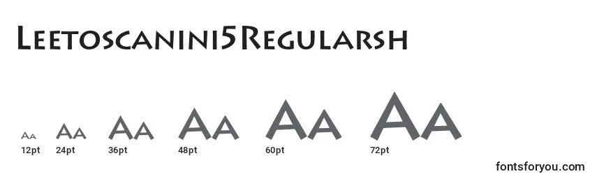 Размеры шрифта Leetoscanini5Regularsh