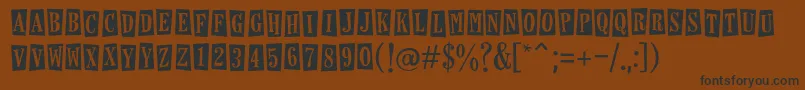 Horseshoeslemonade Font – Black Fonts on Brown Background