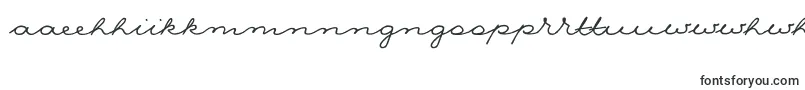 フォントNina – マオリ文字