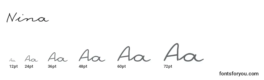 Размеры шрифта Nina