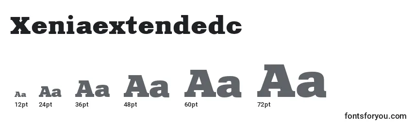 Размеры шрифта Xeniaextendedc