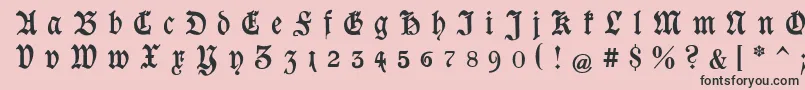 GoeschenGesperrtUnz1a Font – Black Fonts on Pink Background