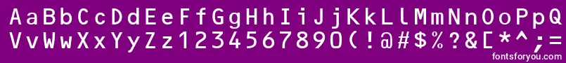 Ocr2Ssi Font – White Fonts on Purple Background