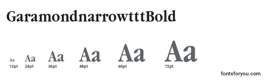 Размеры шрифта GaramondnarrowtttBold
