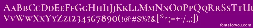 CormorantscBold Font – Pink Fonts on Purple Background