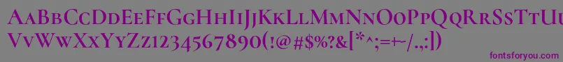 CormorantscBold Font – Purple Fonts on Gray Background